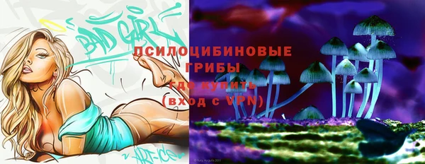 синтетический гашиш Осташков